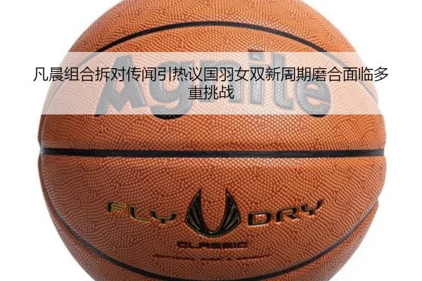 img_1780397805941_393_1_281.jpg