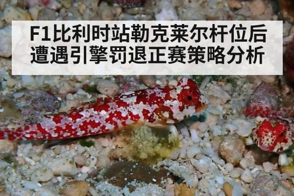 F1比利时站勒克莱尔杆位后遭遇引擎罚退正赛策略分析