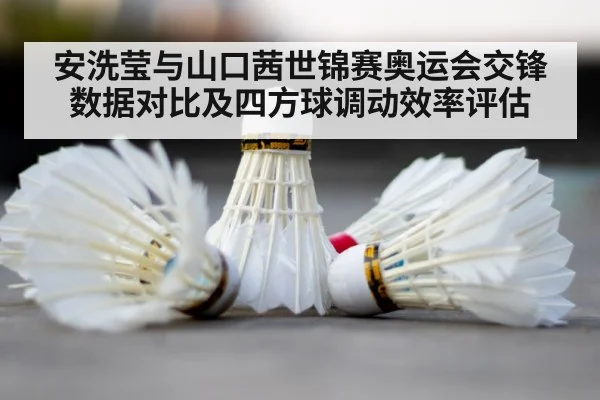 badminton court shuttlecock